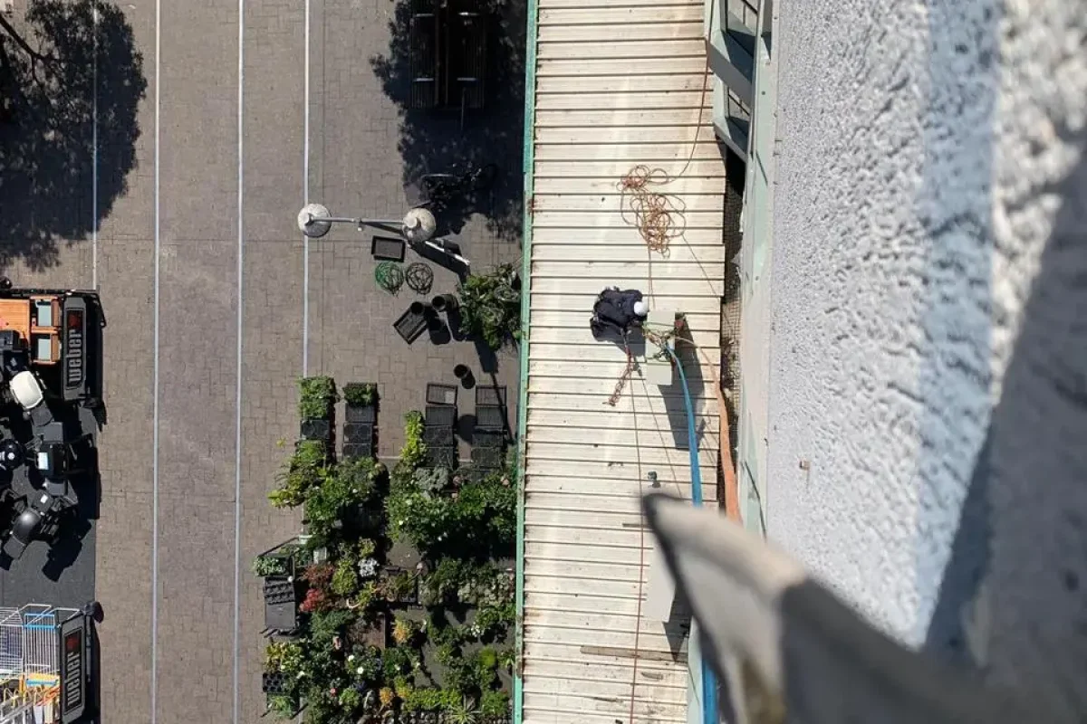 41
