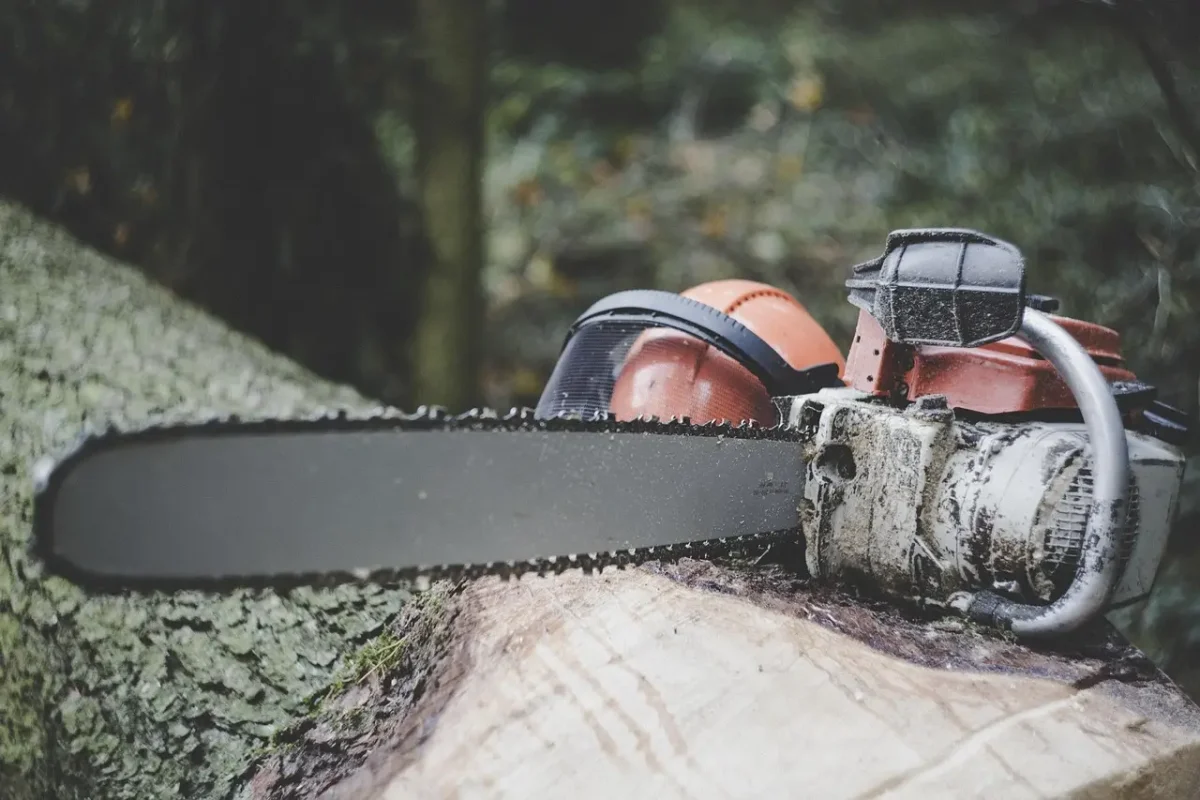 markusspiske-chainsaw-3655667_1280